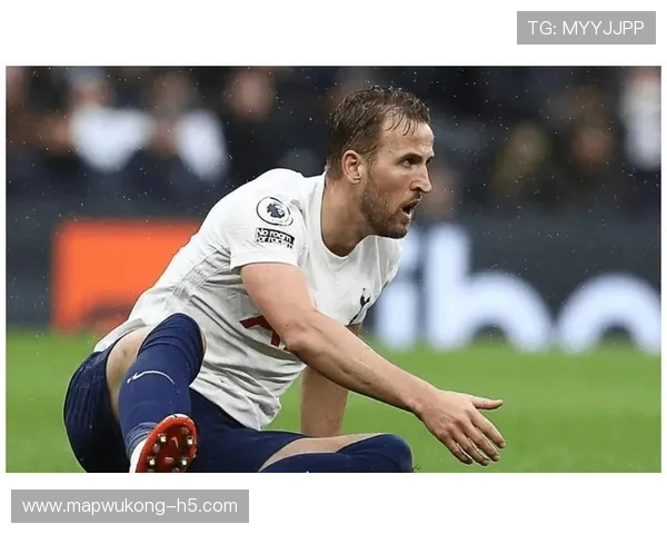 哈里·凯恩射门分布与转化率解析：终结效率是否稳定顶级