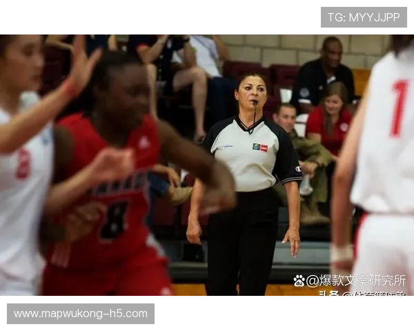 体育道德影响裁判判罚的范围与底线